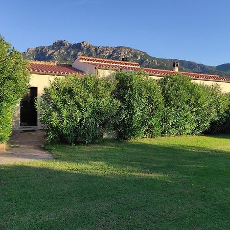 Agriturismo Asara Padru Ngoại thất bức ảnh